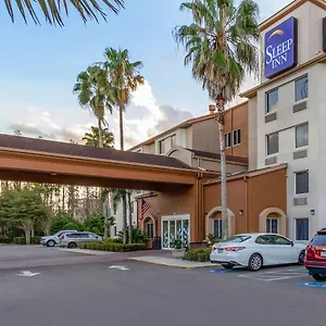 Sleep Near Busch Gardens - Usf Estalagem